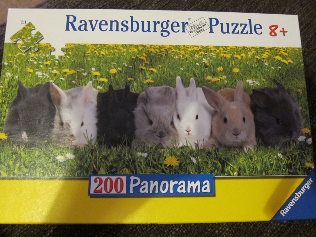 puzzle bunnies